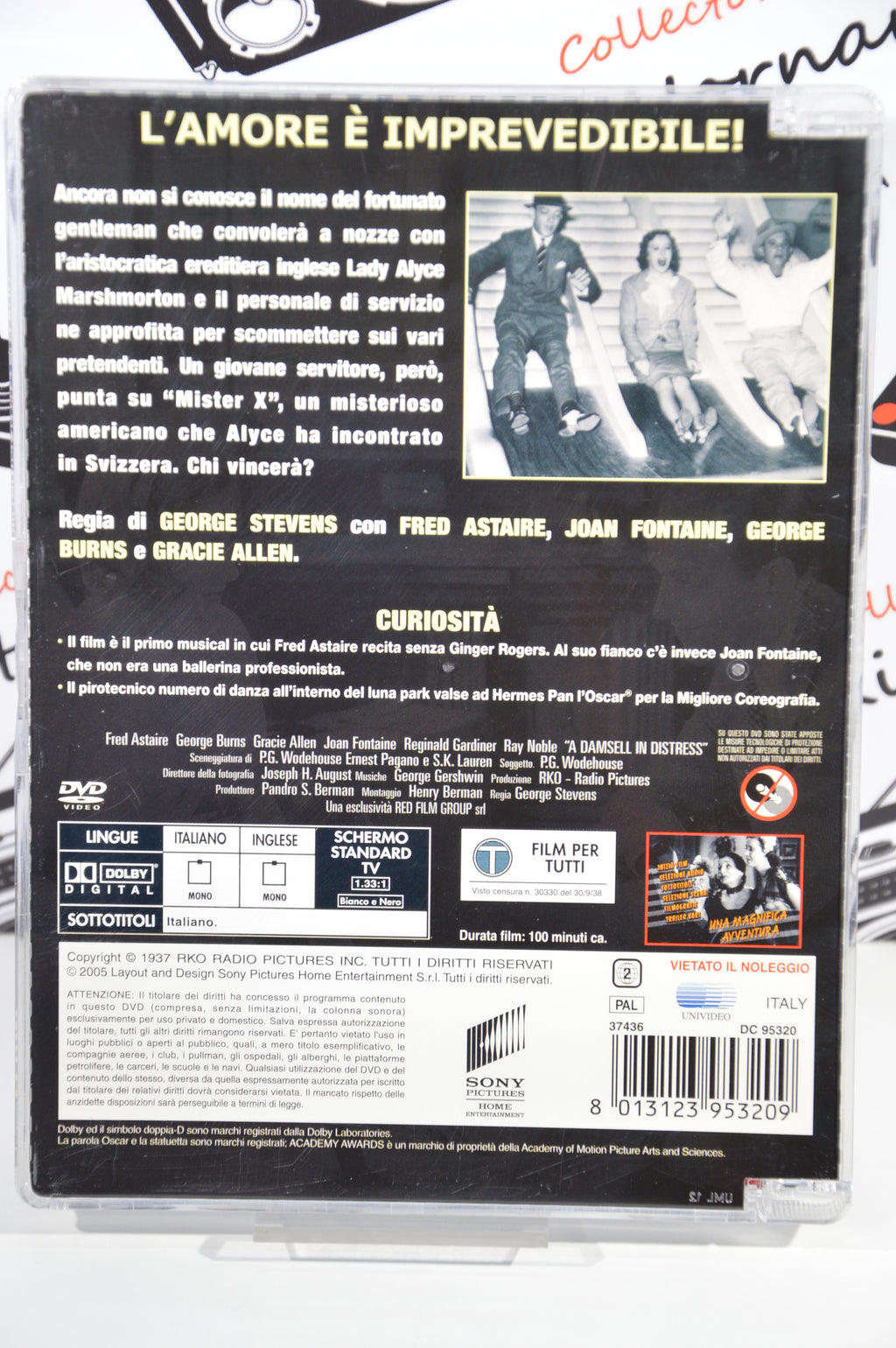 Una magnifica avventura Dvd