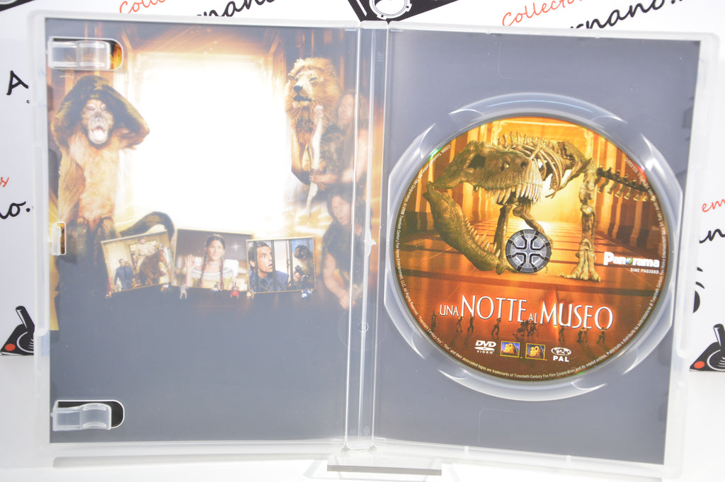 Una notte al museo Dvd