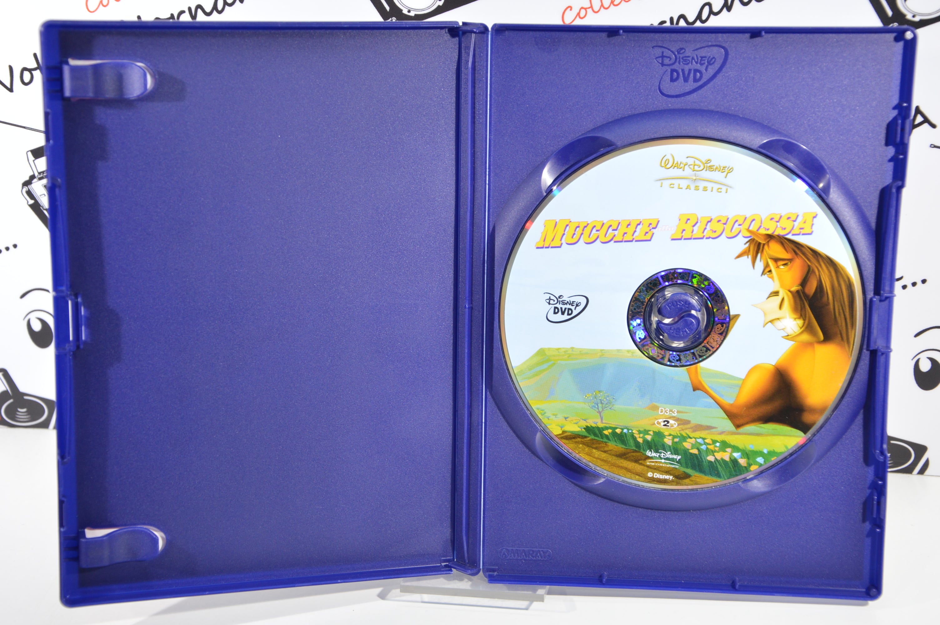 Mucche alla riscossa Dvd