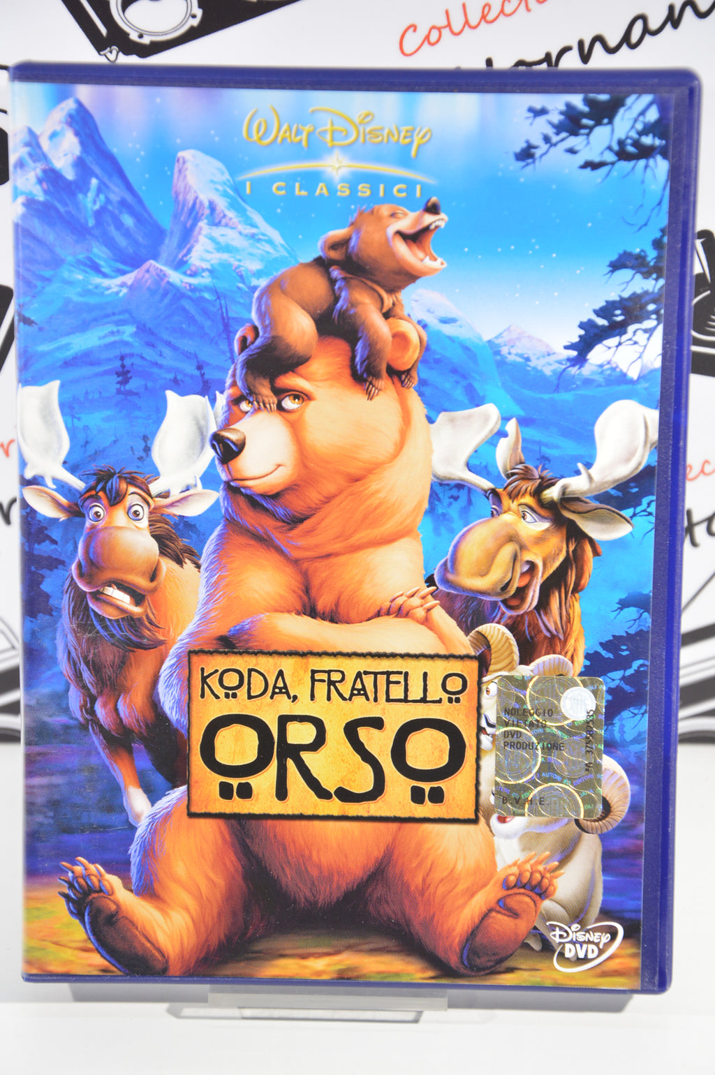 Koda fratello orso Dvd