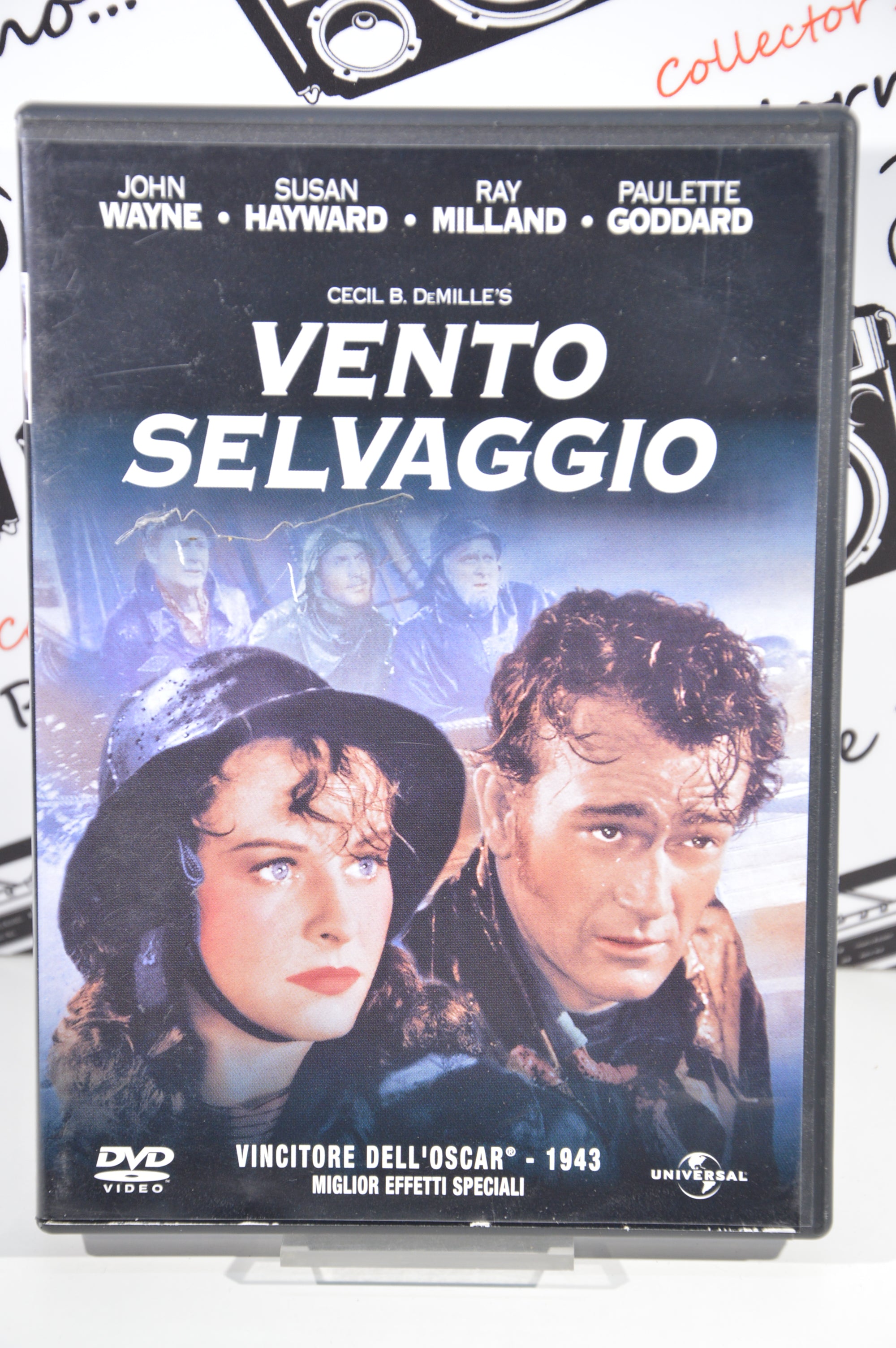 Vento selvaggio Dvd
