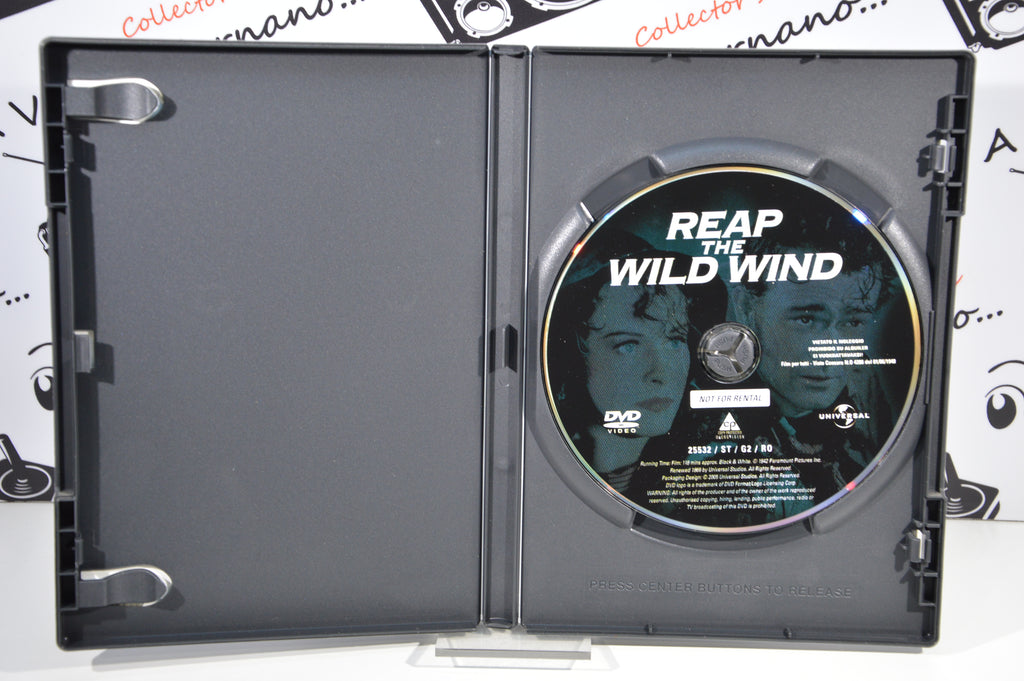 Vento selvaggio Dvd